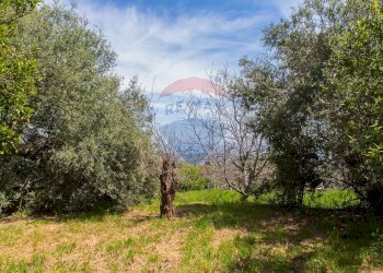 Giardino - Terreno edificabile via fornì
 
17, Piedimonte Etneo - foto 24