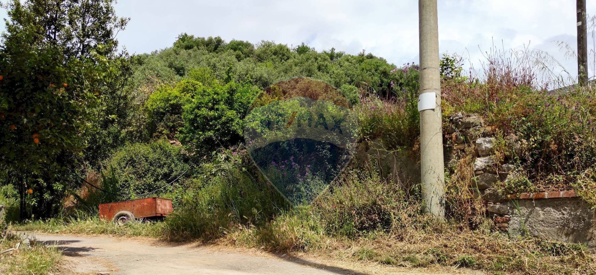 Giardino - Terreno agricolo C.da Fiascara, Taormina - foto 3