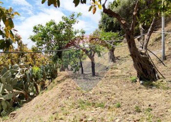 Giardino - Terreno agricolo C.da Fiascara, Taormina - foto 24