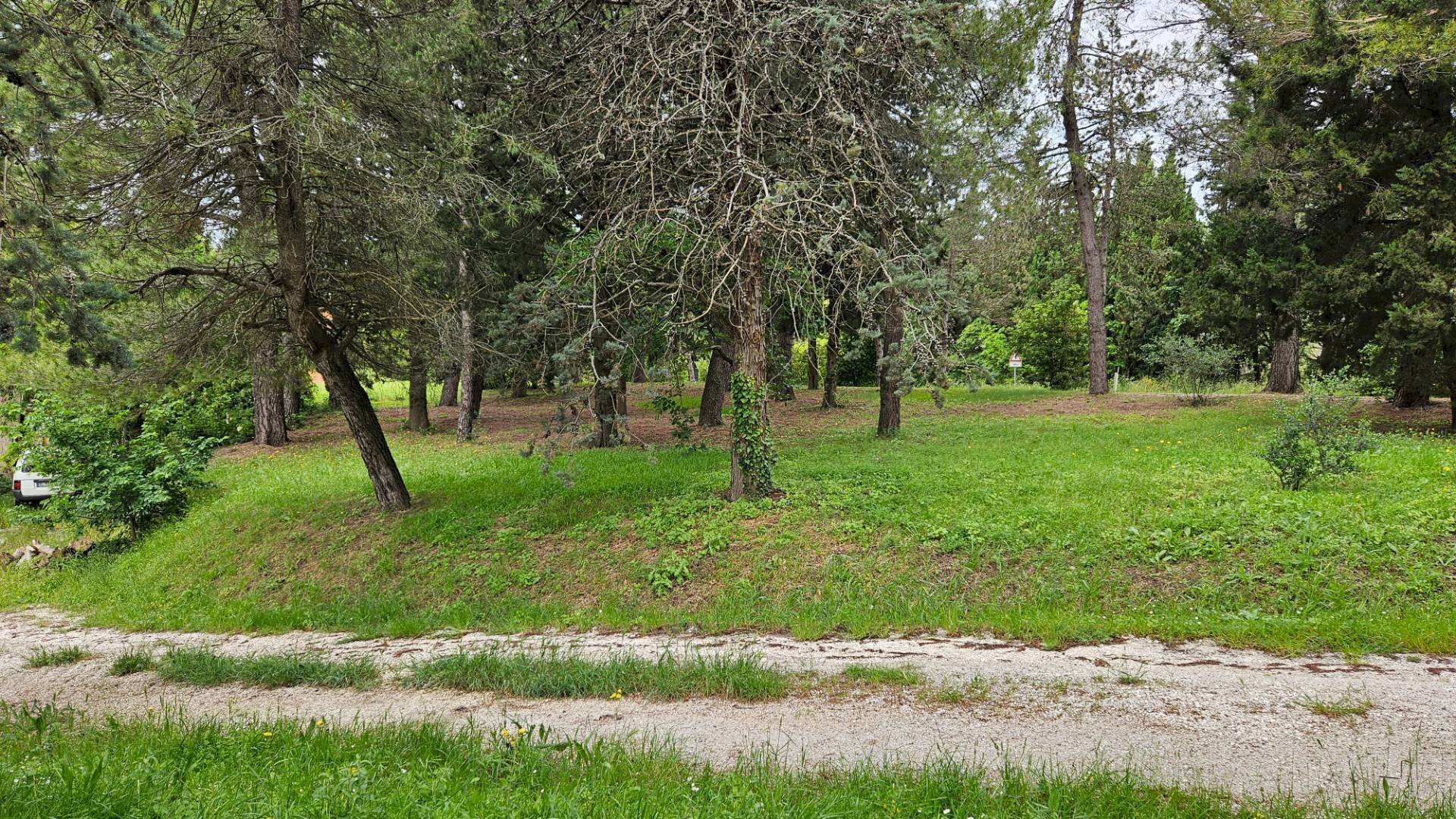 Foto 1 - Rustico Cartoceto, Cartoceto - foto 1