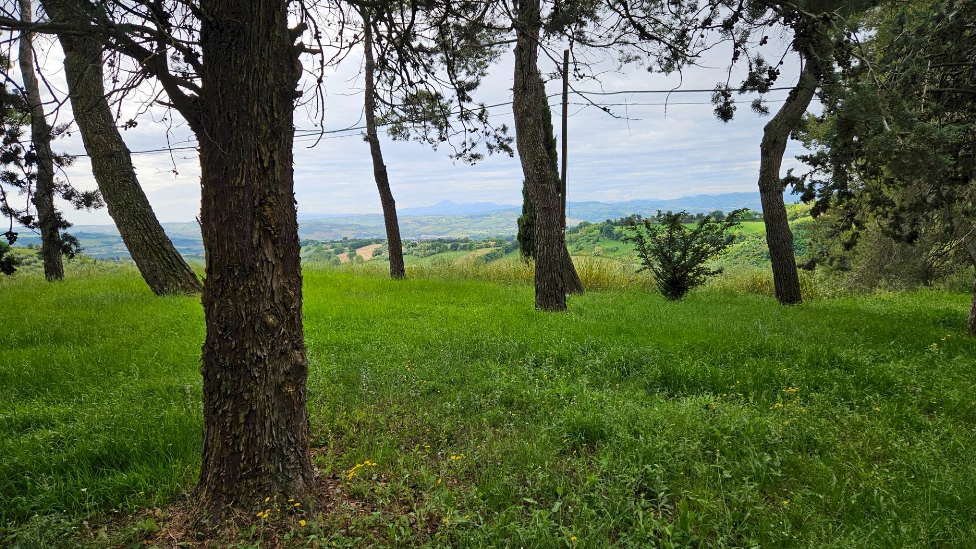 Foto 2 - Rustico Cartoceto, Cartoceto - foto 2