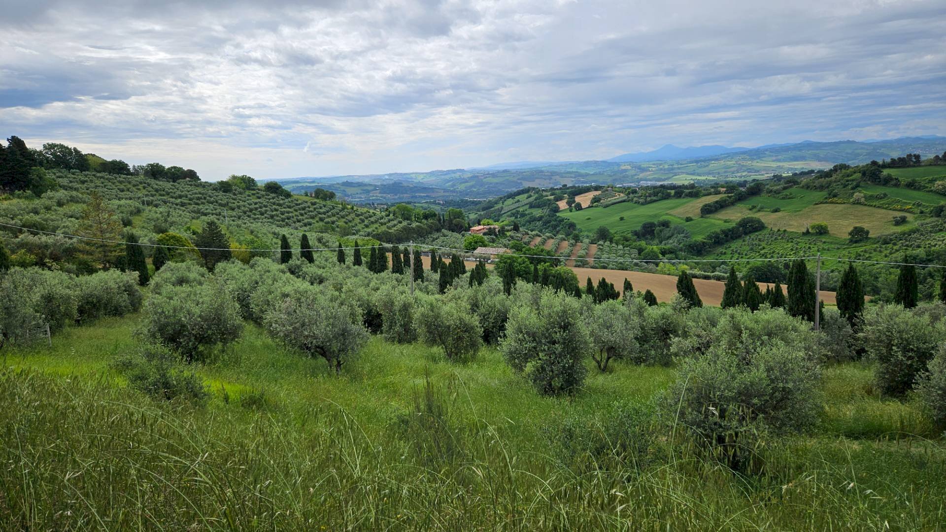 Foto 3 - Rustico Cartoceto, Cartoceto - foto 3