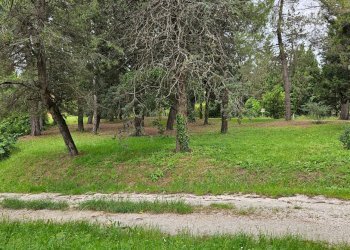 Foto 1 - Rustico Cartoceto, Cartoceto - foto 1