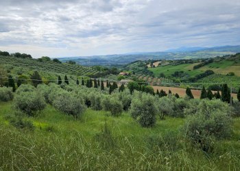 Foto 3 - Rustico Cartoceto, Cartoceto - foto 3