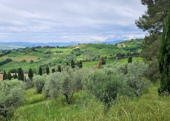 Foto 4 - Rustico Cartoceto, Cartoceto - foto 4