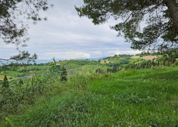 Foto 5 - Rustico Cartoceto, Cartoceto - foto 5