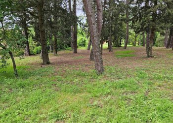 Foto 6 - Rustico Cartoceto, Cartoceto - foto 6