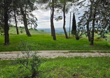 Foto 7 - Rustico Cartoceto, Cartoceto - foto 7