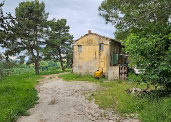 Foto 8 - Rustico Cartoceto, Cartoceto - foto 8