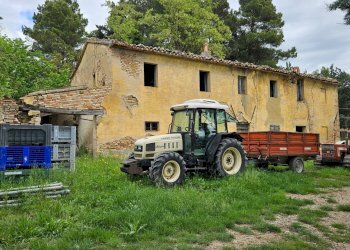 Foto 11 - Rustico Cartoceto, Cartoceto - foto 11