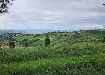 Foto 13 - Rustico Cartoceto, Cartoceto - foto 13