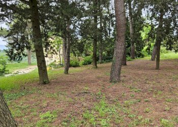 Foto 15 - Rustico Cartoceto, Cartoceto - foto 15