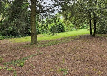 Foto 16 - Rustico Cartoceto, Cartoceto - foto 16