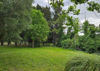 Foto 18 - Rustico Cartoceto, Cartoceto - foto 18