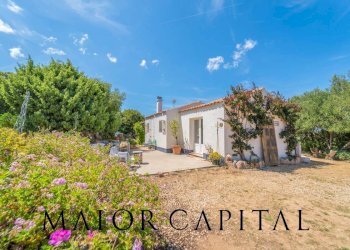 Foto 35 - Casa indipendente Loc. Casagliana
 
snc, Olbia - foto 35