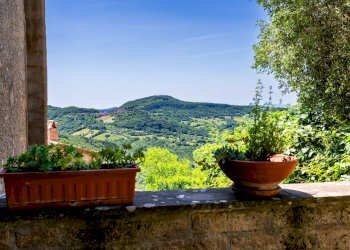 Foto 30 - Casa indipendente Località Caese, Semproniano - foto 30