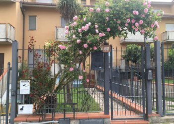 Foto 1 - Villa a Schiera Via Piero della Francesca, Cupra Marittima - foto 1