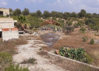 Giardino - Terreno edificabile Contrada Cefalà
s.n.c., Santa Flavia - foto 1
