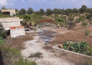 Giardino - Terreno edificabile Contrada Cefalà
s.n.c., Santa Flavia - foto 5