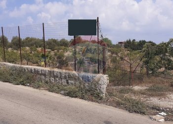 Edificio all\'aperto - Terreno edificabile Contrada Cefalà
s.n.c., Santa Flavia - foto 8