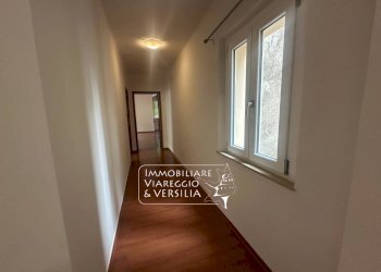 Foto 13 - Capannone via Garibaldi
 
150, Viareggio - foto 13