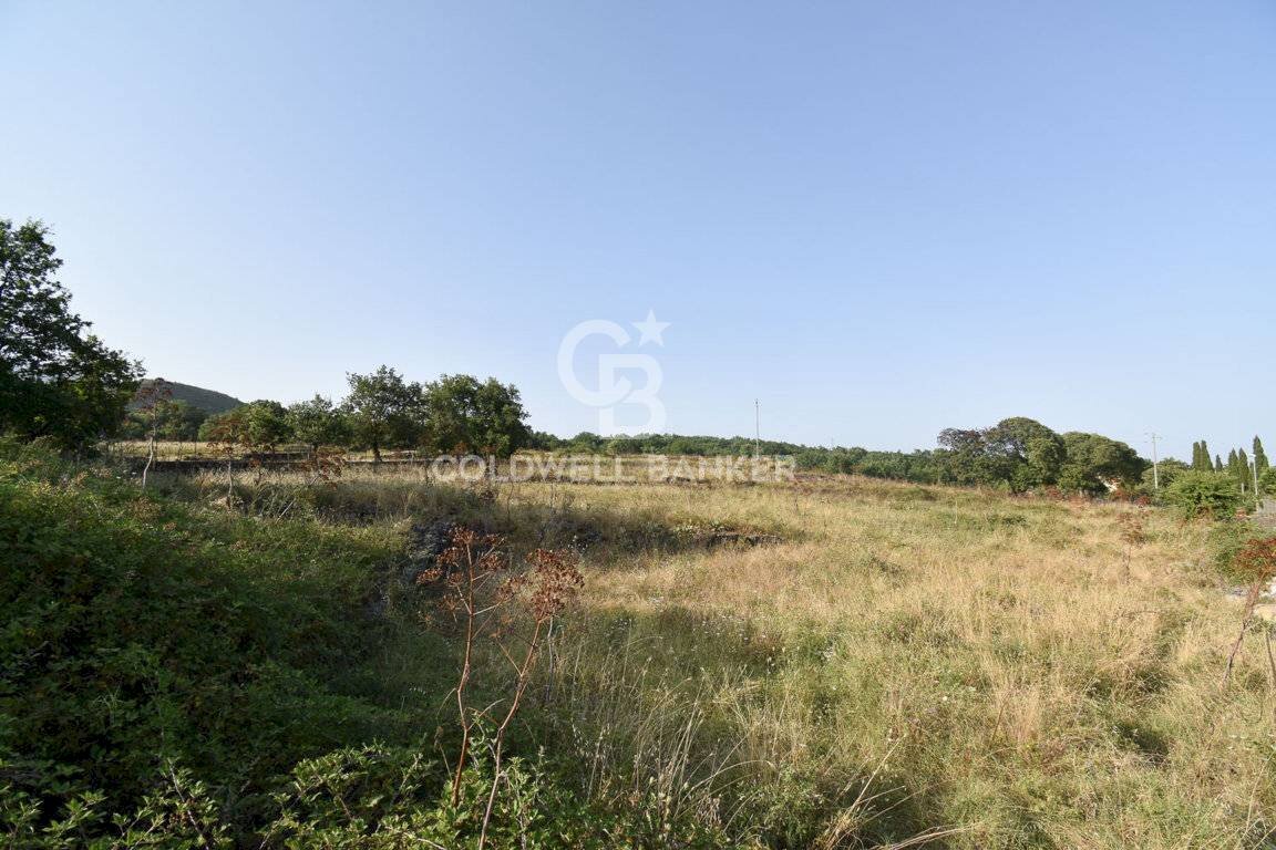 Foto 2 - Terreno agricolo Via Cristaudo
 
SN, Aci Sant'Antonio - foto 2