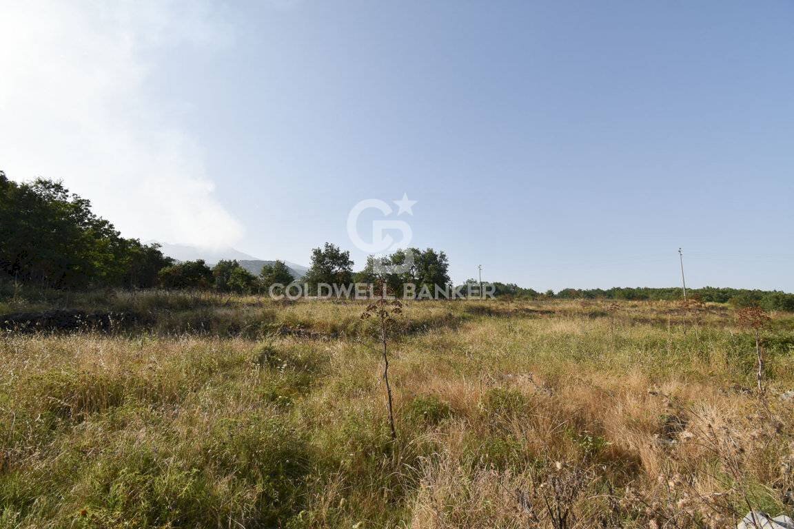 Foto 3 - Terreno agricolo Via Cristaudo
 
SN, Aci Sant'Antonio - foto 3