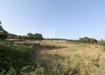 Foto 2 - Terreno agricolo Via Cristaudo
 
SN, Aci Sant'Antonio - foto 2