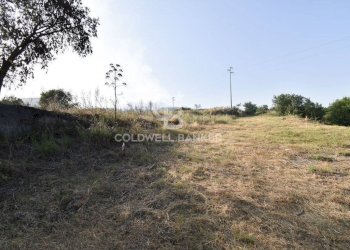 Foto 4 - Terreno agricolo Via Cristaudo
 
SN, Aci Sant'Antonio - foto 4
