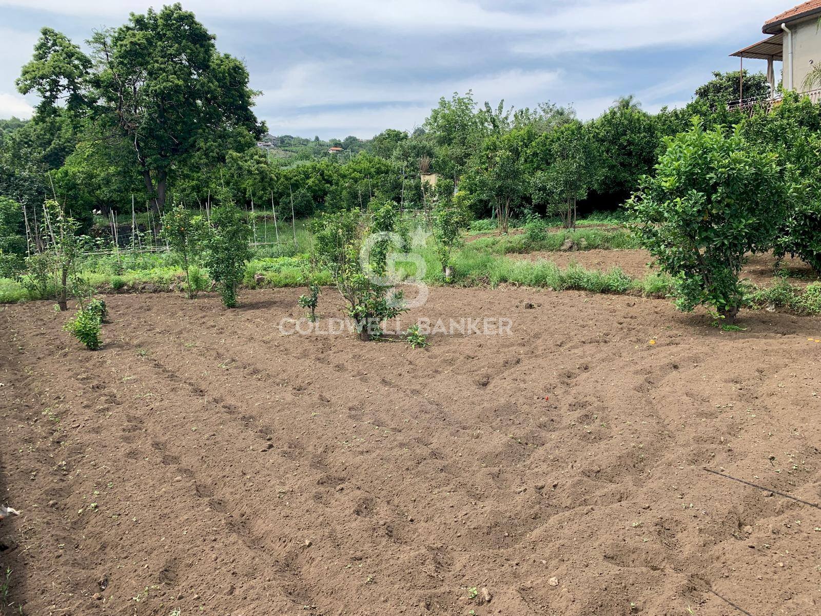 Foto 3 - Terreno edificabile Sciara San Giovanni
 
snc, Giarre - foto 3