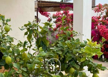 Foto 6 - Appartamento Via delle Pratoline, Lecce - foto 6