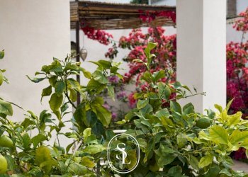 Foto 6 - Appartamento Via delle Pratoline, Lecce - foto 6