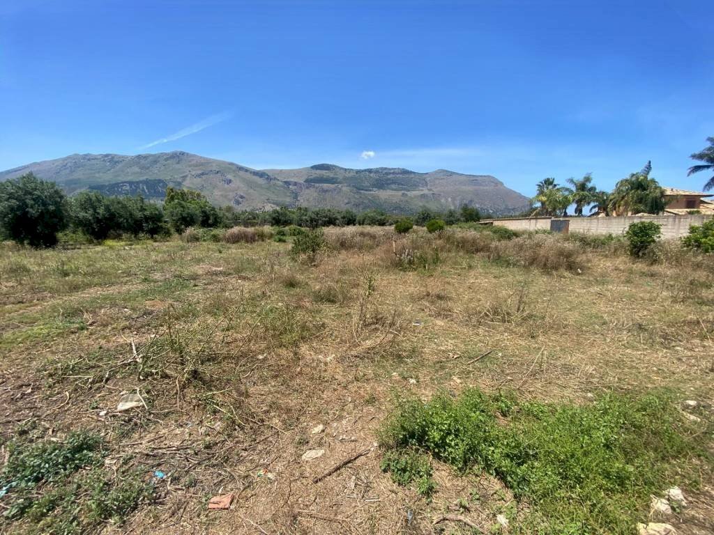 Terreno - Terreno agricolo via Milioti, Carini - foto 2