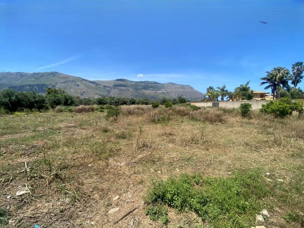 Terreno - Terreno agricolo via Milioti, Carini - foto 3