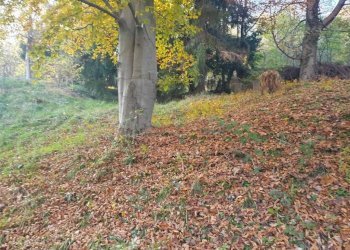 Terreno - Villa via MASSIMO D'AZEGLIO, 4, Ballabio - foto 48