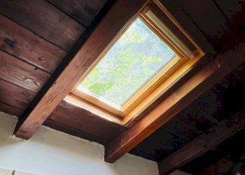 Vista - Villa Zola Predosa - photo 13