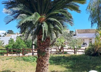 Villa Marsala - foto 20