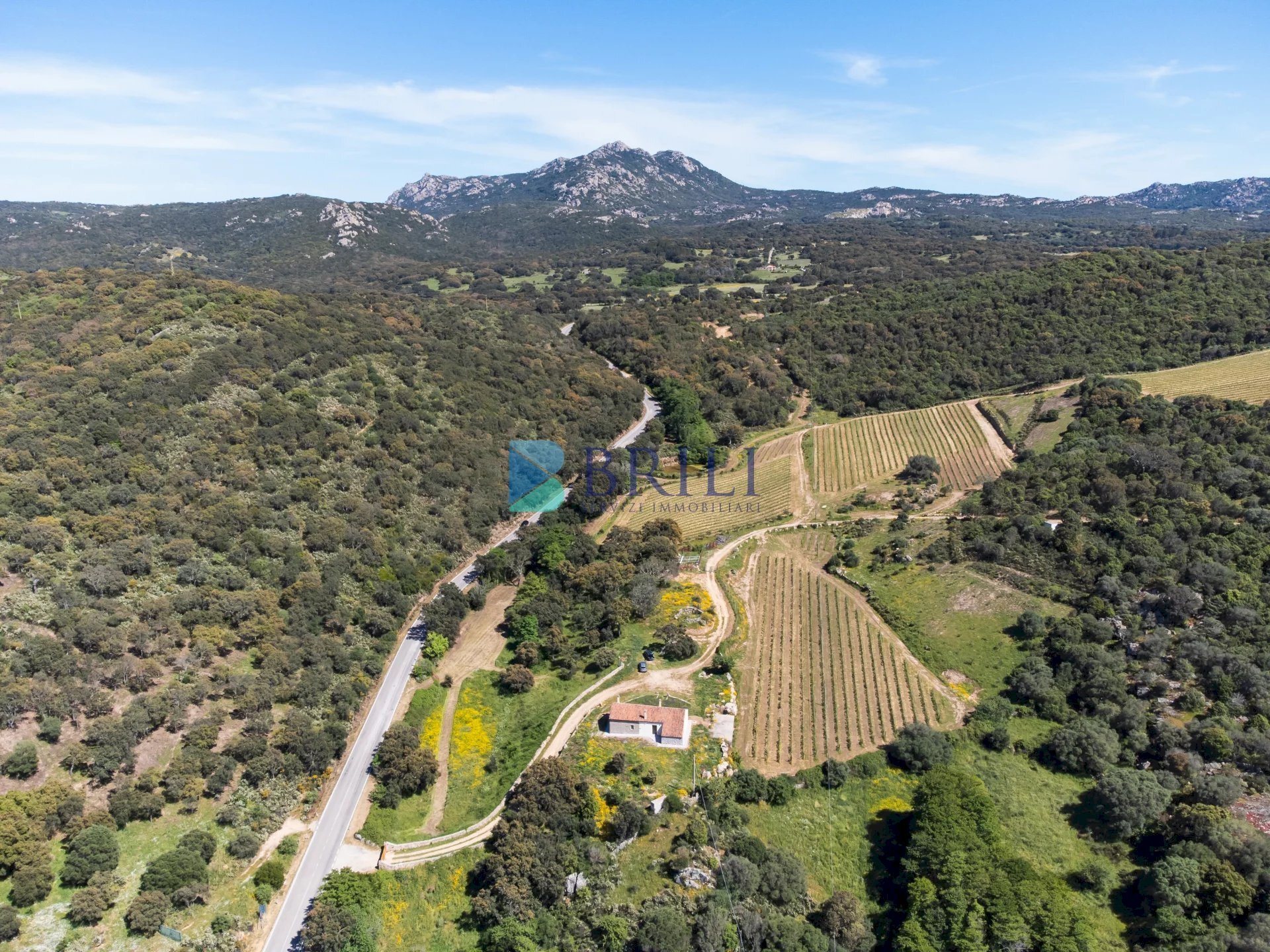 Azienda agricola SP38, Sant'Antonio di Gallura - foto 1