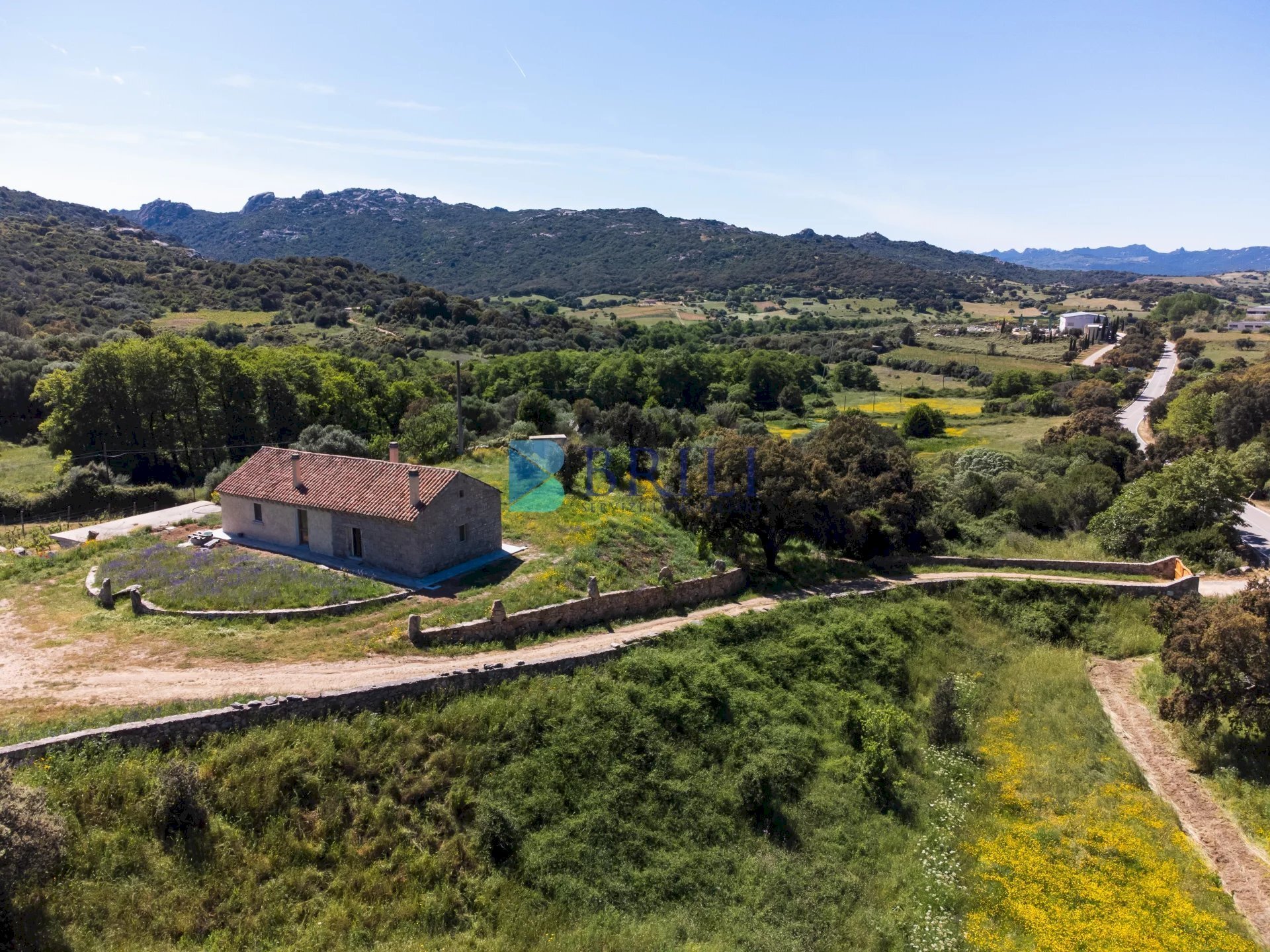Azienda agricola SP38, Sant'Antonio di Gallura - foto 2
