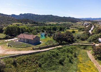 Azienda agricola SP38, Sant'Antonio di Gallura - foto 2