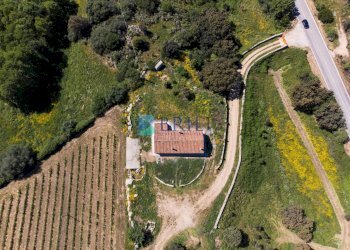 Azienda agricola SP38, Sant'Antonio di Gallura - foto 3