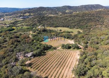 Azienda agricola SP38, Sant'Antonio di Gallura - foto 7