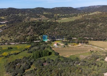Azienda agricola SP38, Sant'Antonio di Gallura - foto 10