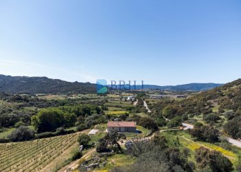 Azienda agricola SP38, Sant'Antonio di Gallura - foto 11