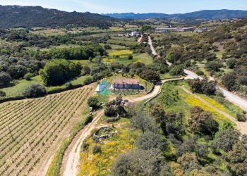 Azienda agricola SP38, Sant'Antonio di Gallura - foto 12