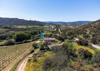Azienda agricola SP38, Sant'Antonio di Gallura - foto 13