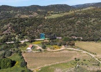Azienda agricola SP38, Sant'Antonio di Gallura - foto 14