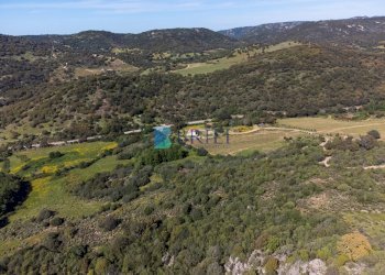 Azienda agricola SP38, Sant'Antonio di Gallura - foto 16