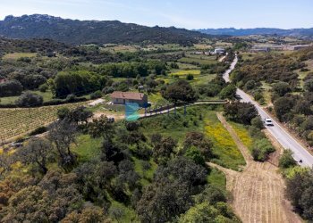 Azienda agricola SP38, Sant'Antonio di Gallura - foto 17