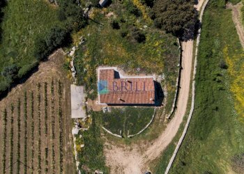 Azienda agricola SP38, Sant'Antonio di Gallura - foto 19